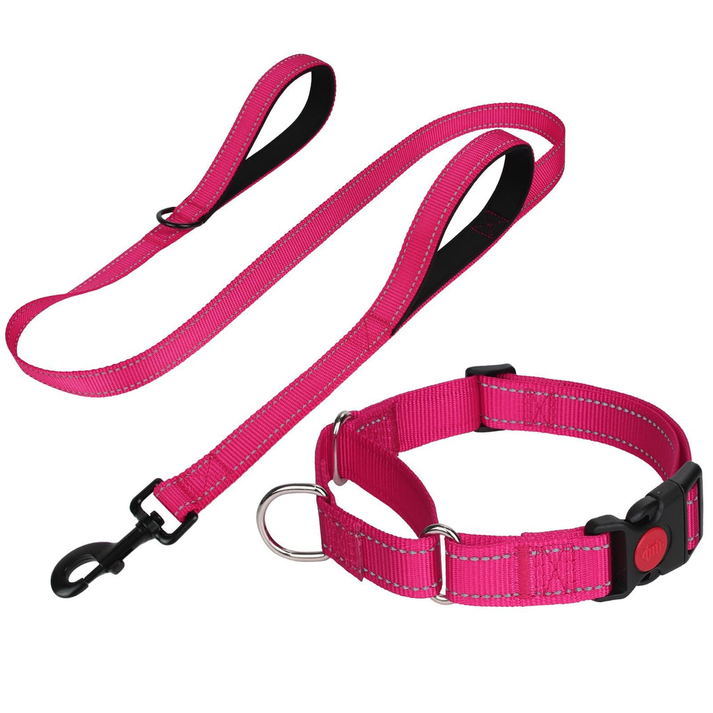 FunTags Reflective Martingale Collar for Dogs, Quick Release Buckle, 5FT Double Handle Dog Leash Padded, Dog Collar and Leash Set, Adjustable for Medium Dogs (Hotpink, M) Hotpink