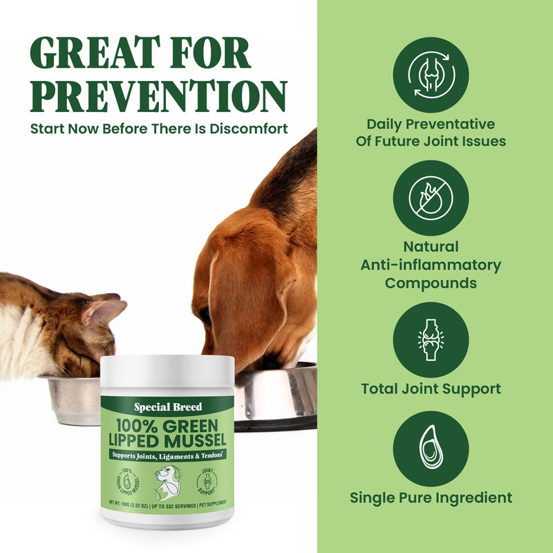 Special Breed Green Lipped Mussel Powder for Dogs & Cats - 100% New Zealand - Natural Hip & Joint Supplement for Joints, Tendons, Ligaments, Muscles - 100 Grams - Up to 332 Servings - PawsPlanet Australia