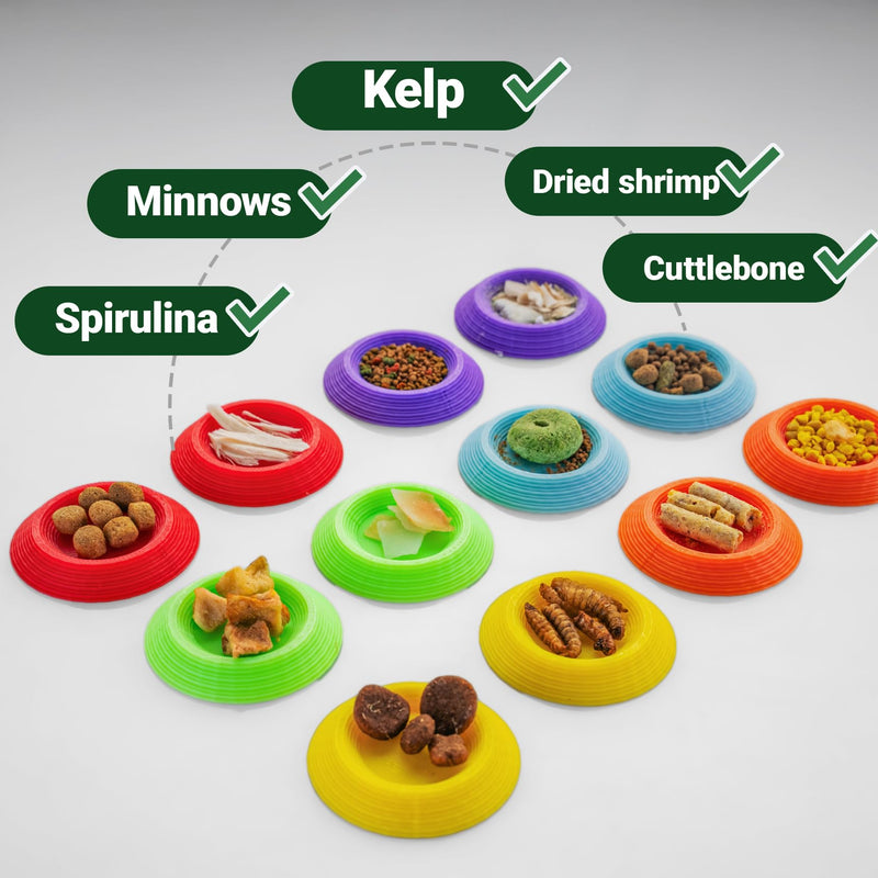 12pcs Isopod Feeder Bowls, Tiny Feeding Dish for Isopods, Springtails, Dubia Roaches, Dwarf Invertebrates – Colorful Food Dishes for Terrariums and Enclosures - PawsPlanet Australia