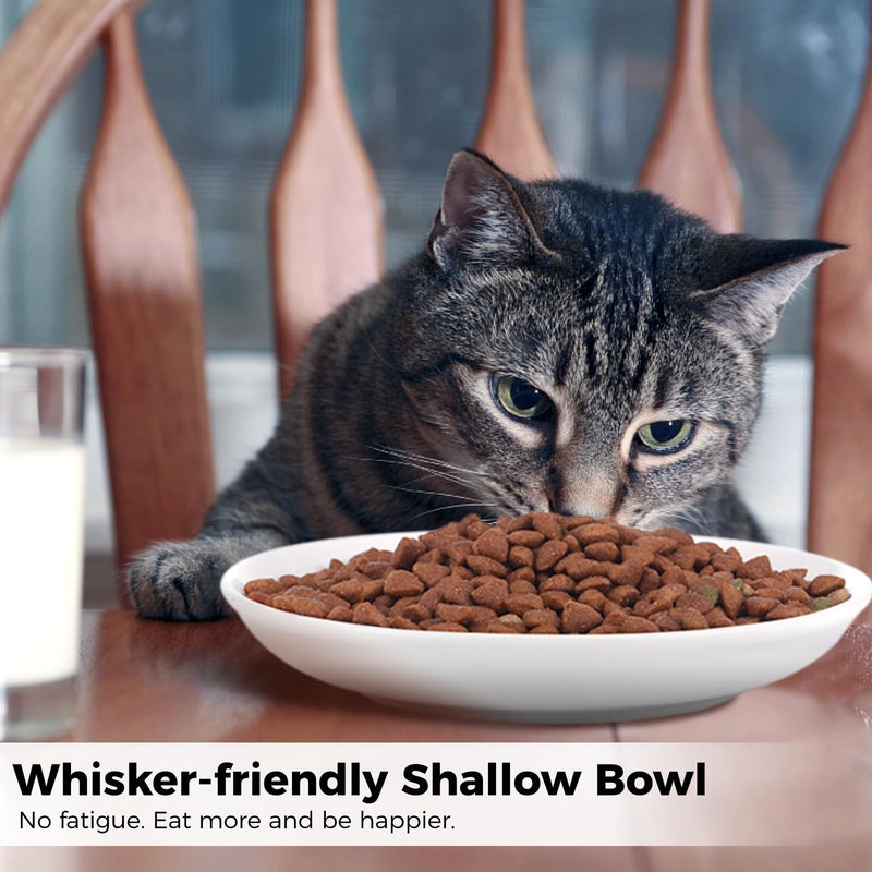 2 Pcs Cat Bowls, Wide & Shallow Cat Plates for Whiskey Fatigue Relief, 15cm/6’' Ceramic Cat Feeding Dishes Cute Fish Bone Design, Wet & Dry Food Feeding Bowls for Kittens, Cats, Puppies 2 Fish bone - PawsPlanet Australia