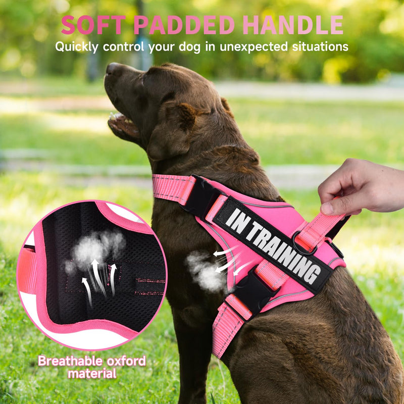 Dog Vest Harness and Leash Set, Animire Reflective Service Dog Vest with 10 Patches, 3 Rings No Choke Pet Vest for Leash Placement, in Training Dog Harness for Small Medium Large Dogs(Hot Pink,S) Small(Chest: 15.5-22 Inch) Hot Pink - PawsPlanet Australia