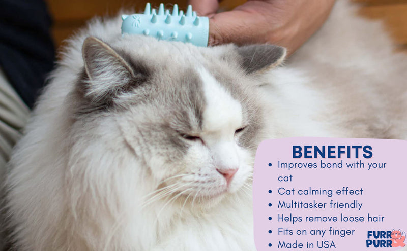 Furr&Purr Cat Brush, Scratcher, and Massager - Indoor Cat Calming Care with Face Scratcher, Finger Brush (3-Pack, Made in USA) 3 Pack - New - PawsPlanet Australia