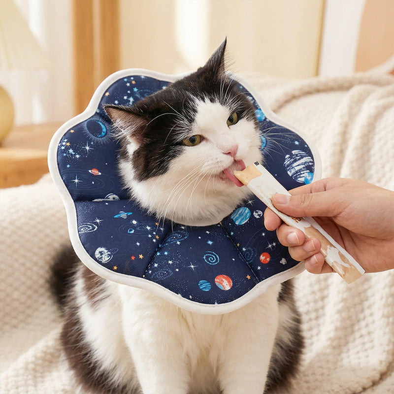 Cat Cone Collar Adjustable, Protective Recovery Collar Soft, Cat Cone Neck Prevent Licking Wound After Surgery, for Cats (M) M