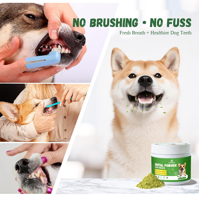 Dog Dental Powder, 200g Dental Powder for Dogs Teeth Cleaning and Breath Fresh, Dog Teeth Cleaning Powder with Natural Plants Ingredients and Postbiotics - PawsPlanet Australia