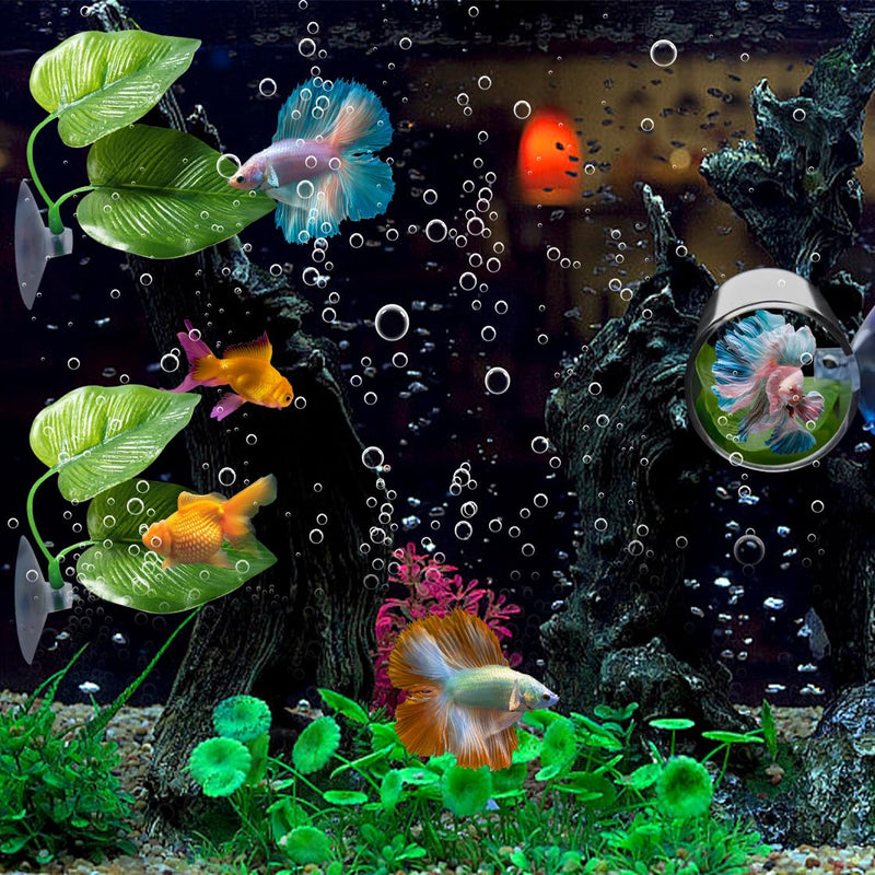 6PCS Betta Fish Aquarium Decoration, Betta Fish Leaf Pad + Fish Feeding Ring+ Betta Fish Acrylic Tube Tunnel,Hideout Ornament for Fish Tank Aquarium Decor 6 pcs - PawsPlanet Australia