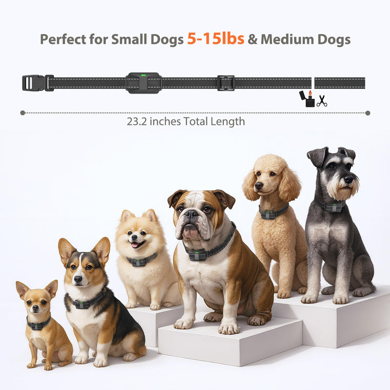 Small Dog Shock Collar for Small Dogs 5-15lbs, Ultra-Dog Training Collar with 3300Ft Remote Range,3 Training Mode Beep,Vibration,Shock, Waterproof Bark Collar (Black-B) - PawsPlanet Australia