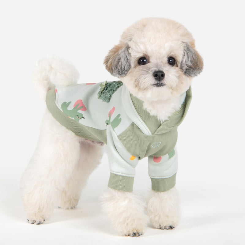 Pinkaholic New York Ebba Winter Hooded Shirts Cute Bunny Pattern for Small and Medium Dogs, Light Mint, Medium Lt.Mint - PawsPlanet Australia
