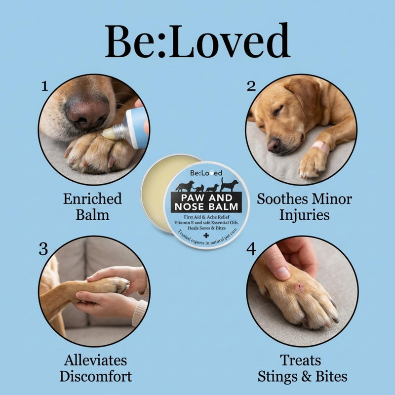 Be:Loved - Be:Safe First Aid Dog Nose & Paw Balm - Natural Relief for Scratches, Grazes and Minor Irritations - With Vitamin E, and Shea Butter - Handmade in the UK - 60g Paw And Nose Balm B1