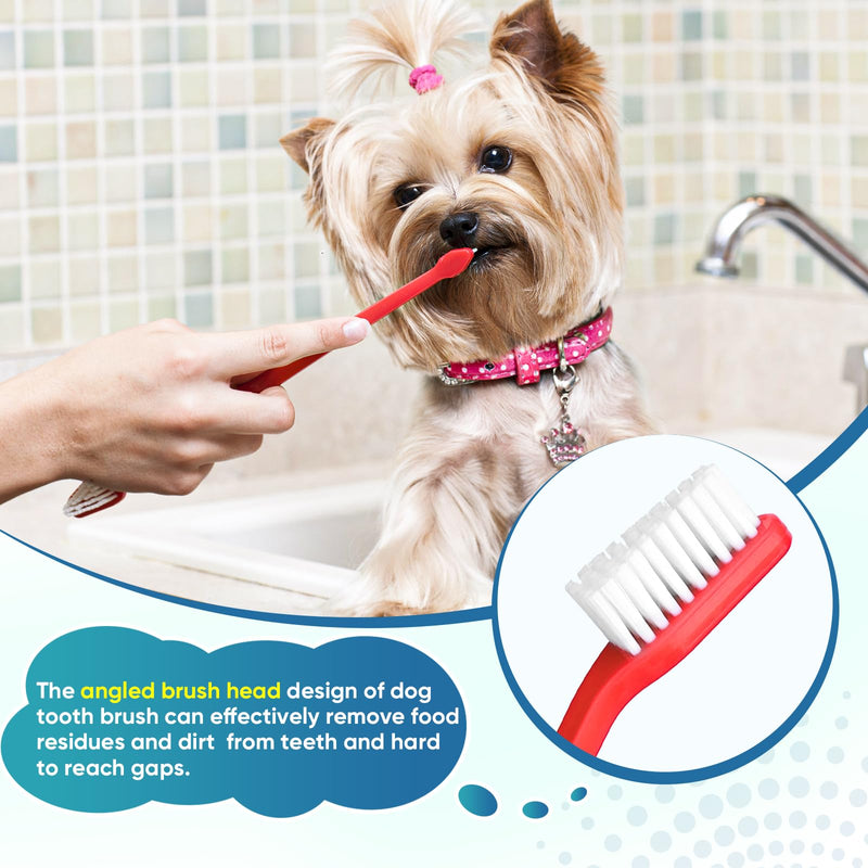 Navona 30 PCS Dog Toothbrushes, Double Headed Anti Slip Dog Tooth Brushing Kits, Cat Toothbrush, Pet Toothbrush for Dogs, Easy to Clean and Care for Teeth, Suitable for Small to Large Dogs and Cats 1 Count (Pack of 30)
