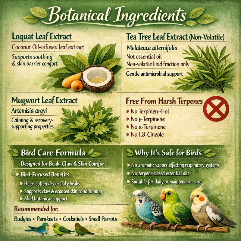 RONDURE Avian Beak Oil & Claw Balm – Bird Moisturizer Care for Dry Beak, Feet & Claws, Gentle Skin Care for Budgies, Cockatiels & Parrots, 2.6 oz - PawsPlanet Australia