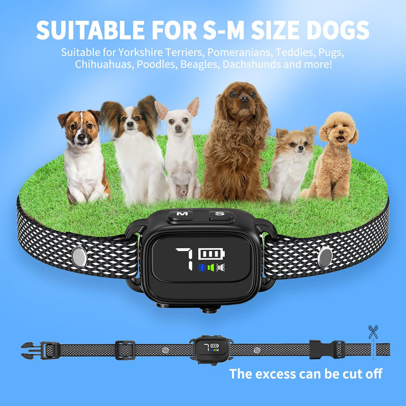 Anti-Bark Collar for Small Dogs, No Shock Anti Barking Collars with 7 Sensitivities, 3 Adjustable Modes Beep & Vibration, IP67 Waterproof - Effective & Humane Small Dogs Bark Collar-Black Black - PawsPlanet Australia