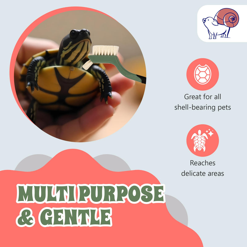 Turtle Cleaning Brush - Gently Remove Dirt from Turtles and Tortoises - Blue by Snout and Shell - PawsPlanet Australia
