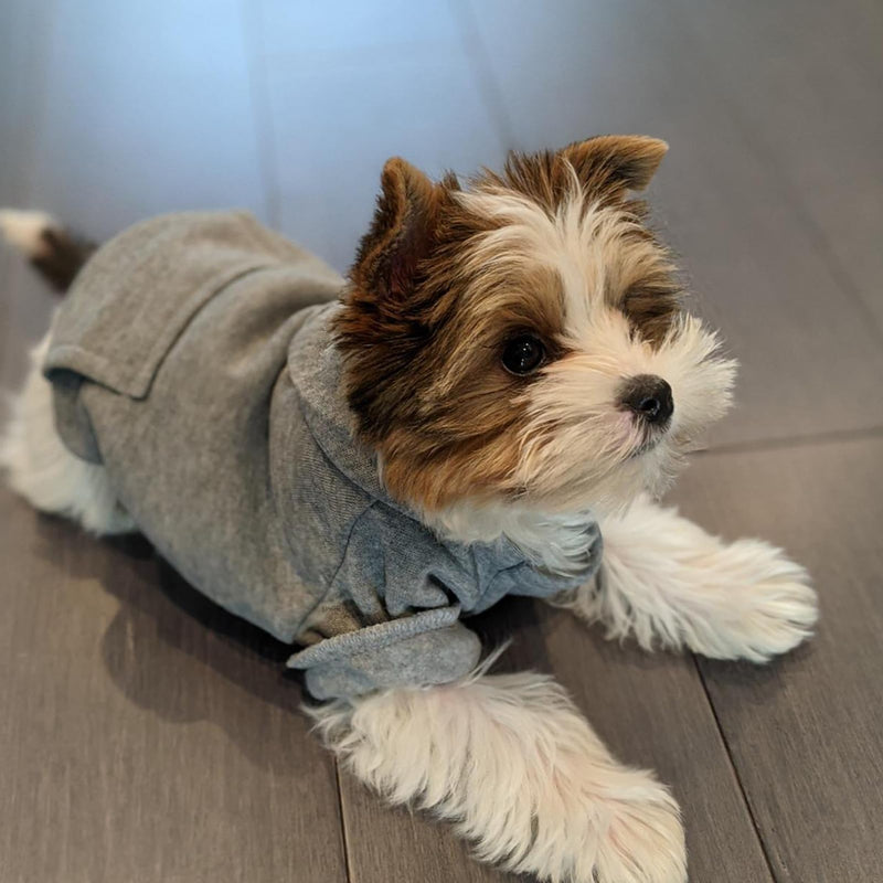 Jecikelon Winter Dog Hoodie Sweatshirts with Pockets Warm Dog Clothes for Small Dogs Chihuahua Coat Clothing Puppy Cat Custume (Small, Grey) - PawsPlanet Australia