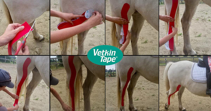 VETKIN VetkinTape® 2.4'' Veterinary Kinesiology Tape | Kinesiology Tape for Horses & Dogs | Equine & Canine Tape Pink - PawsPlanet Australia