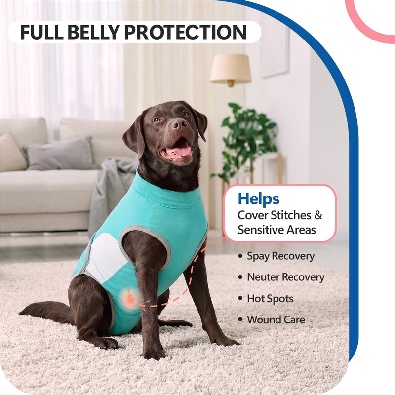 Dog Surgery Suit, Full Abdominal Coverage Dog Suit after Spay Surgery, Anti-Licking Body Suit with Back Zipper, Alternative to Cone, Recovery Onesie for Female & Male Dogs, Aqua Blue S
