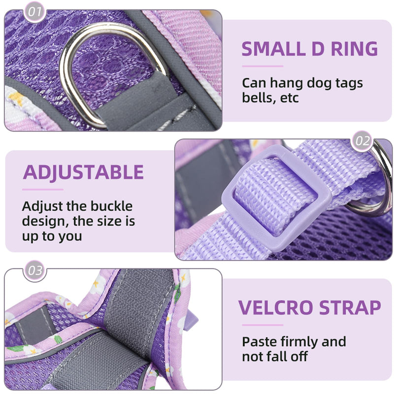Petank Dog Harness for Small Medium Dogs No Pull, Puppy Harness and Leash Set, Mesh Adjustable Breathable Light Vest for Walking, Running, Training. (Pink, XXS) Pink - PawsPlanet Australia
