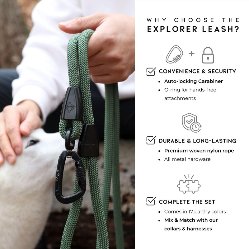 MADE TO ROAM Premium Explorer Leash - Climbing Rope Leash with Autolocking Aviation Aluminum Carabiner - Florida Seaside, 6ft 6 Feet - PawsPlanet Australia
