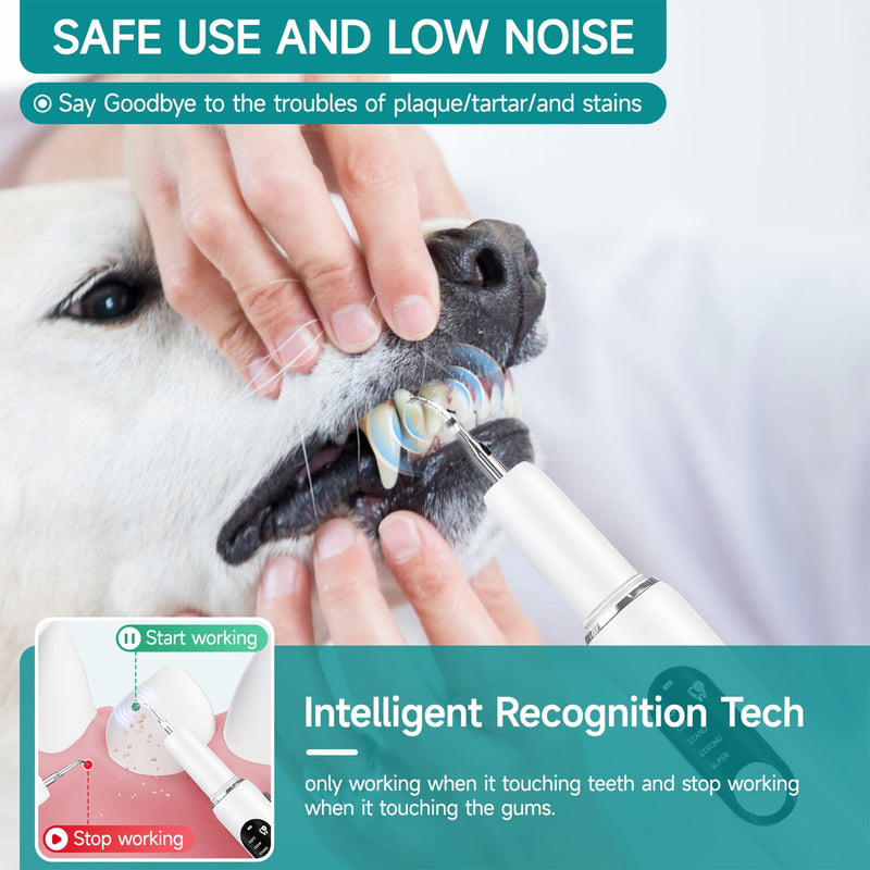 Dog Teeth Cleaning Kit Dog Plaque and Tartar Remover with LED Light 5 Adjustable Modes Electric Toothbrush Pet Teeth Cleaner for Dogs and Cats (White)