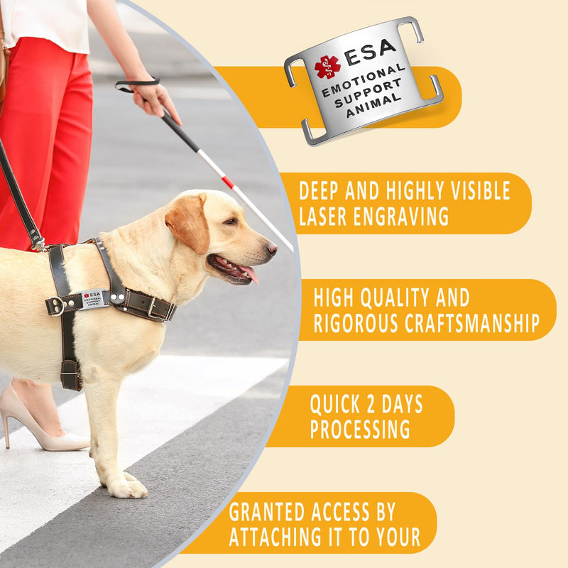 ESA Dog Tag – Surgical Steel, Non-Slip Grip, Deep Engraved & Hand Enamel ESA ID – Fits 1” Collar, Silent - Extra Large Slide-On ID Badge for Collar or Harness Slider: Large 1 inch collars Stainless Steel - PawsPlanet Australia