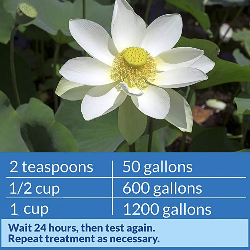 API POND pH UP Pond Water pH Raising Solution 16-Ounce Bottle - PawsPlanet Australia