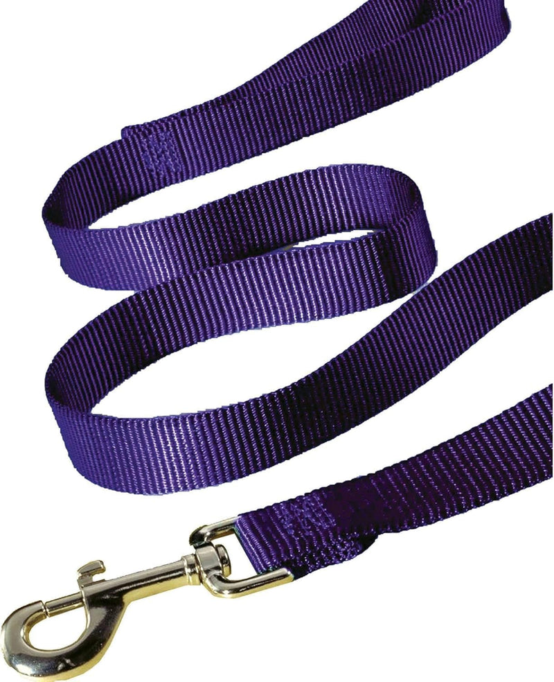 Hamilton Single Thick Deluxe Nylon Dog Leash with Swivel Snap, 1" by 6' Long, Purple - PawsPlanet Australia