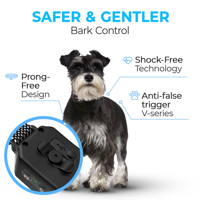 Bark Collar for Small Dogs 5-15lbs - No Shock Small Dog Bark Collar - Rechargeable Smart Anti Barking Collar with Beep Vibration Mode - Waterproof Anti Bark Collar with 7 Sensitivity Levels Black/Red Heart - PawsPlanet Australia