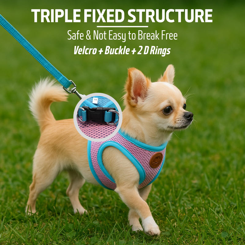 Small Dog Harness and Leash Set, Adjustable Step-in Dog Harness with Back Clip, Reflective Escape Proof Easy Walk Dog Harness for Small Sized Dog, Puppy, Cats (PinkBlue S) Pink+Blue - PawsPlanet Australia