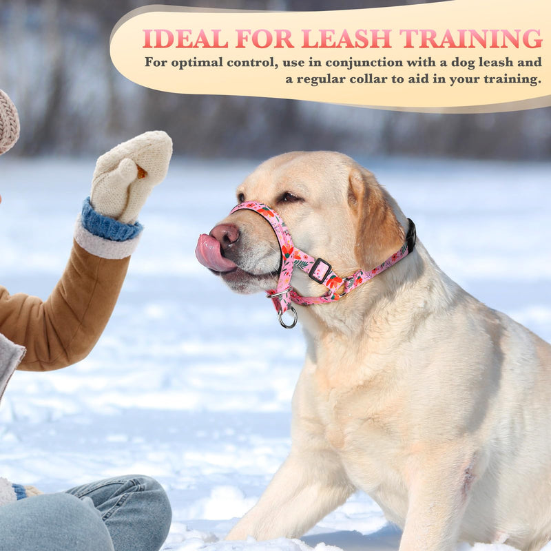 No-Pull Dog Headcollar - Adjustable Head Halter Collar for Dogs, Padded Gentle Lead to Stop Heavy Pulling on The Leash, Anti-Pull Training Muzzle for Easy Control on Walks (Pink, Medium) Pink - PawsPlanet Australia