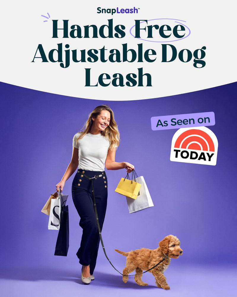 Hands-Free Dog Leash Training Running Snapleash, Waist & Shoulder Lead for Walking, Traffic Lead, Dual Pet Leash Adjustable for Large, Medium and Small Dog Breeds (Black, Small (5/8in x 7.5ft)) BLACK SMALL (5/8in x 7.5ft) - PawsPlanet Australia