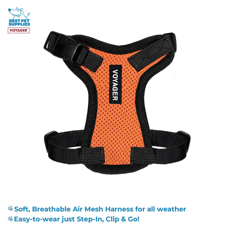 Voyager Step-in Lock Adjustable Cat Harness w. Cat Leash Combo Set with Neoprene Handle 5ft - Supports Small, Medium and Large Breed Cats by Best Pet Supplies - Orange/Black Trim, XXS (Pack of 2) - PawsPlanet Australia