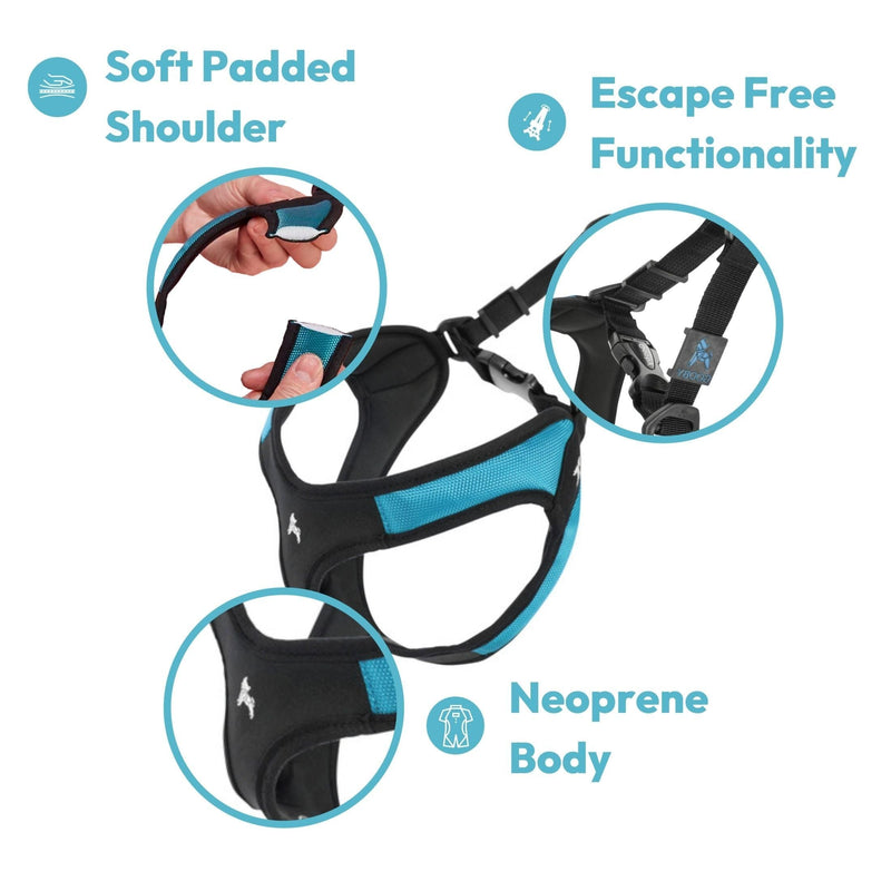 Gooby - Escape Free Easy Fit Harness, Small Dog Step-In Harness for Dogs that Like to Escape Their Harness, Turquoise, Medium Medium chest (18~21.75") - PawsPlanet Australia