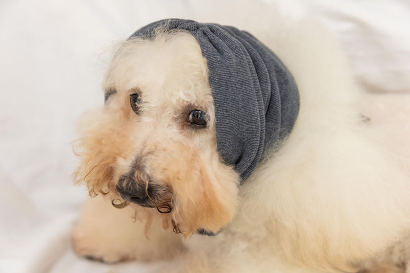 Dog Blow Dryer Ear Cover,Dog No Flap Ear Wrap Anxiety & Stress Relief - Dog Ear Flap Wrap for Surgery Recovery Grey M Medium - PawsPlanet Australia