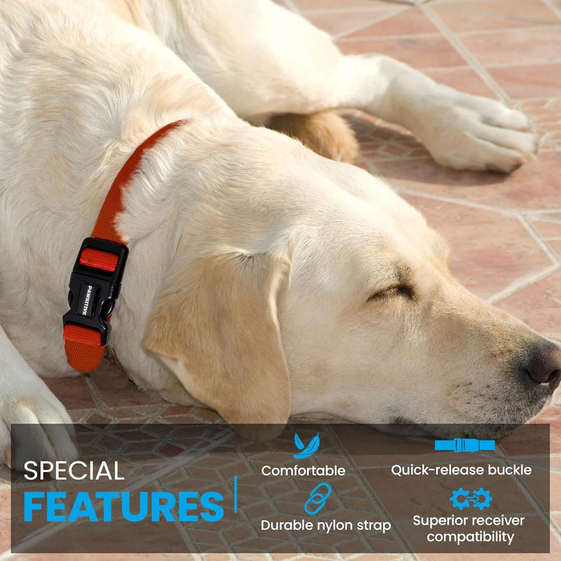 ECollar Replacement Strap, Pet Safe Collars Replacement, Shock Collar Replacement Collar, Invisible Fence Collar Replacement, Compatible with Pet Safe, Invisible Fence (Bright Blue, 3/4") 3/4" Bright Blue - PawsPlanet Australia