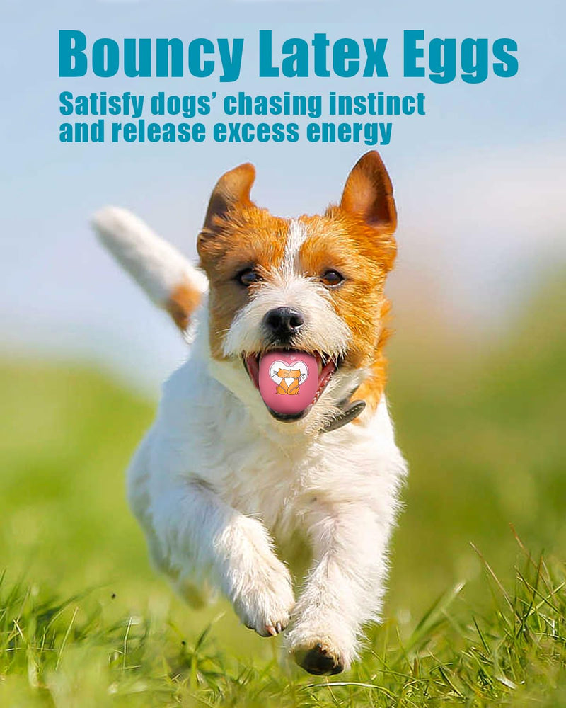 Dog Toys Squeaky, Funny Puppy Balls Pet Toy Pack, Interactive Latex Rubber Squeak Egg Ball for Puppies Small Medium Breed Dogs 4 Pack - A Funny Expressions & Animal Print - PawsPlanet Australia