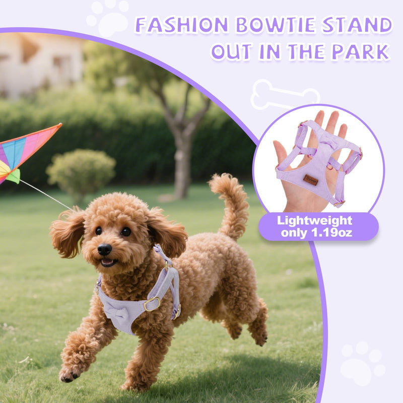 No Pull Small Dog Harness and Leash Set, Adjustable Puppy Harness for Extra Small XS XXS Girl Dogs, Soft Suede No Choke and Escape Proof Pet Harness Vest Leash for Puppy Cat (Purple XS) Purple - PawsPlanet Australia