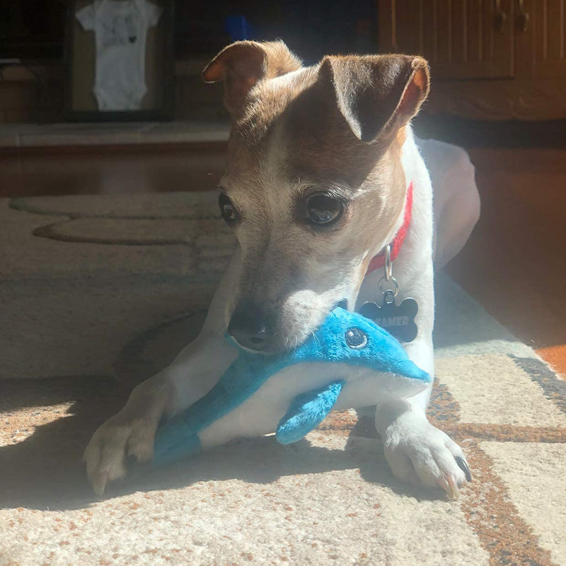 Snuggle Puppy Tender-Tuffs Tiny - Tough Plush Dog Toys for Puppies and Small Breeds - Stuffed Blue Dolphin with Puncture Resistant Squeaker - PawsPlanet Australia