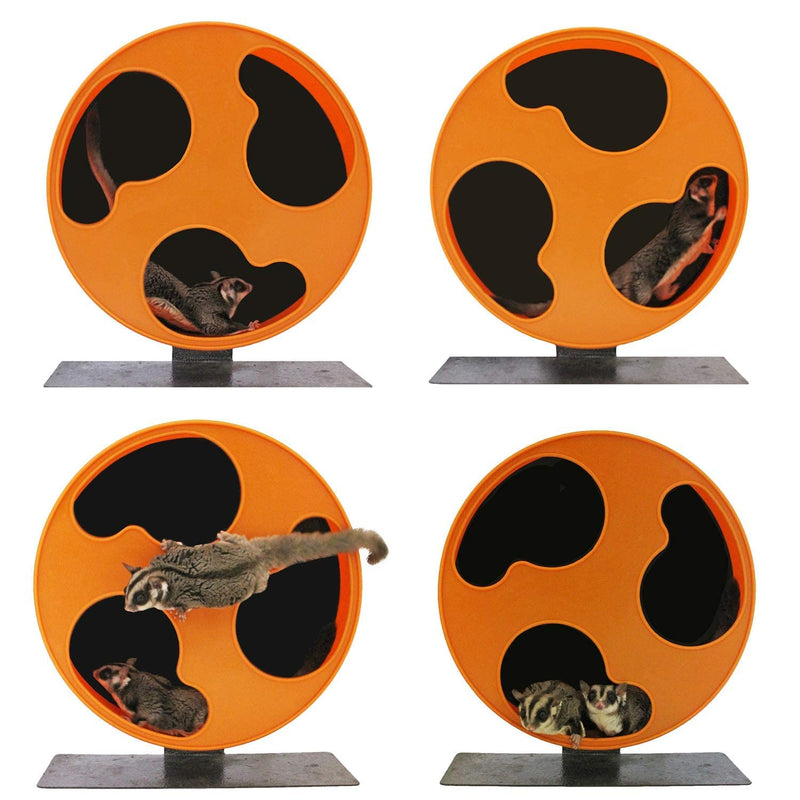 Silent Runner 12" Regular | Wheel + Cage Attachment | Sugar Gliders, Hamsters, Rats - PawsPlanet Australia
