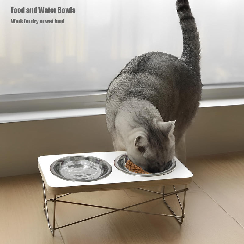 4 Pcs Stainless Steel Cat Bowls,5.5 Inches Metal Cat Bowl, Cat Food Bowls for Indoor Cats, Whisker Fatigue Cat Bowl, Shallow Cat Food Dish, Kitten Food Bowl, Elevated Food Bowls for Cats 5.5 inches - PawsPlanet Australia