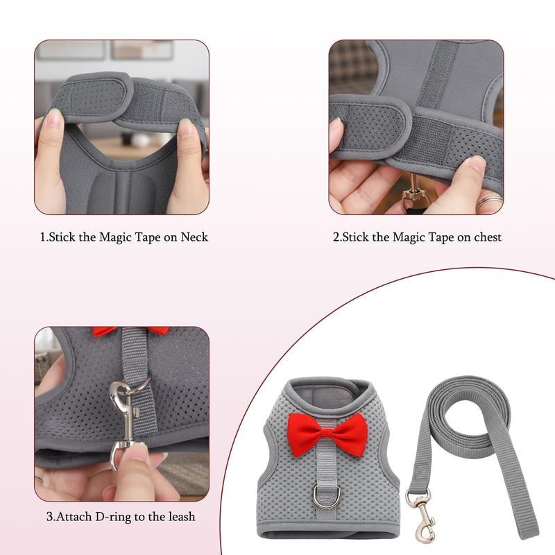 2 Set of Bunny Harness and Leash(Size M),Adjustable Bunny Leash for Small Pets. This Complete Rabbit Harness and Leash Set Features Soft Mesh Vests for Safe Outdoor Adventures.