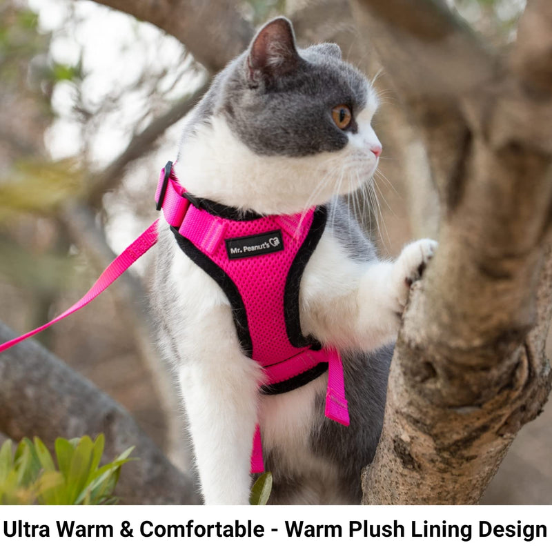 Mr. Peanut's PurrTrek Reflective Cat Harness with Matching Leash (Extra Small, Blue) Extra Small - PawsPlanet Australia