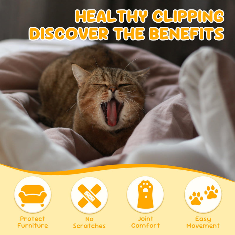 Cat Nail Clipper, Claw Trimmer Made of Stainless Steel, Clean Cut, No Shred, Mirror Finish. Small Animal Nail Clippers for Cats, Kittens, Bunny, Puppy, Rabbit, Gatos, and More - PawsPlanet Australia