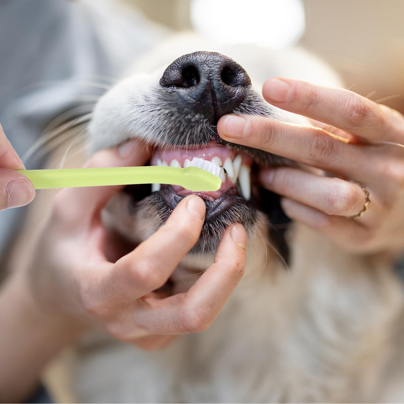 Pack of 8 Dog Toothbrush, Small Dog Pet Toothbrush, Soft Cat Toothbrush, Mini Toothbrush, Deep Cleaning Set, Portable, Travel-Friendly and Easy to Use for Puppies