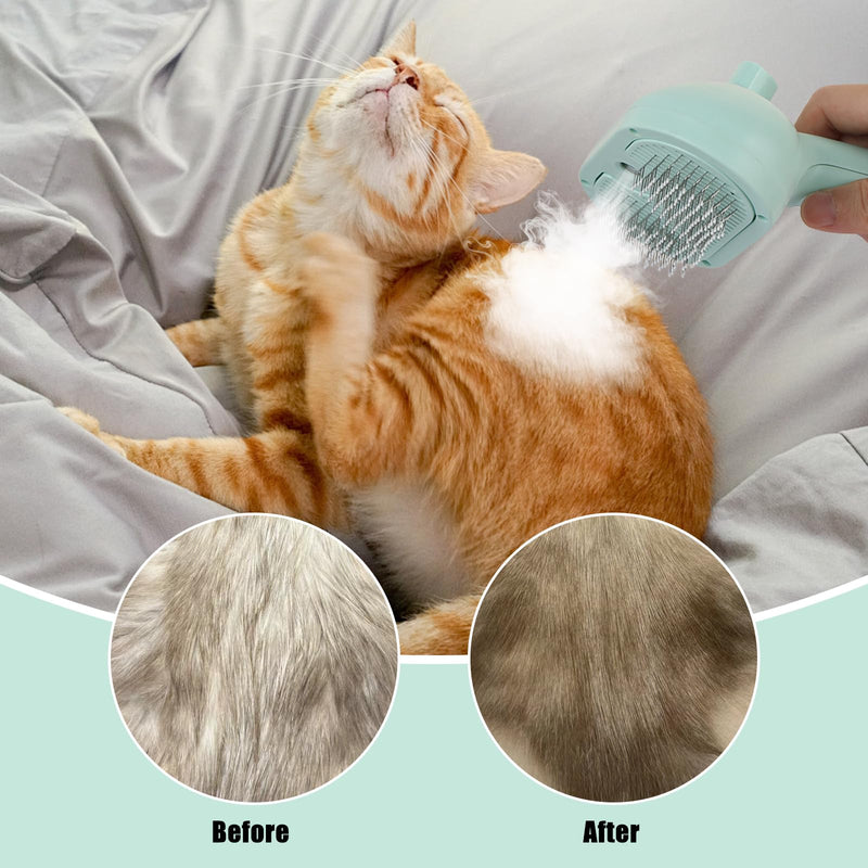 Pet Hair Remover, Pet Grooming Brush Hair, 3 in 1 Dog Steam Grooving Comb, Multi-Function Dog Hairdressing Spray Brush (Green) - PawsPlanet Australia
