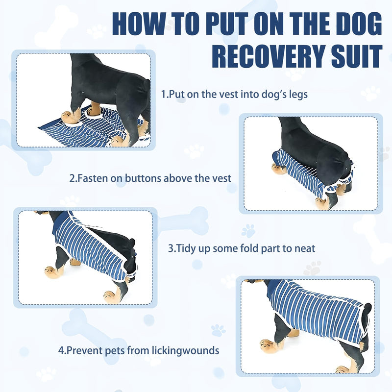 Pack of 2 Dog Bodysuit After Surgery Male, Dog Body Surgery Body Castration Dog Surgery After Surgery, Wound Protection, Soft Recovery Suit, Breathable, Alternative to Elizabeth Collar (Blue)