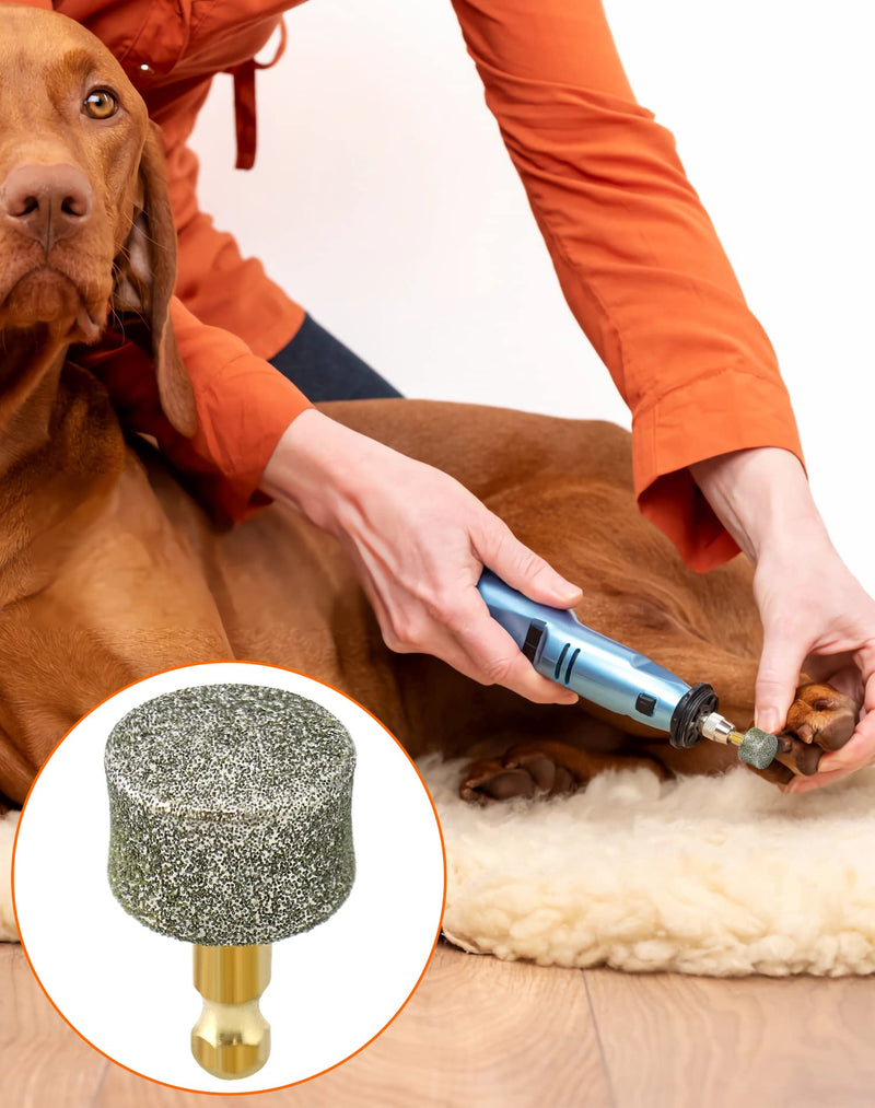 QWORK Dog Nail Grinder Replacement Head, 10 PackPet Nail Grinder Diamond Tip Replacement, Professional Spare Grinding Head for Electric Pet Paw Trimmer Nail Grinder, Dog Claw Smoothing Grinder Bits - PawsPlanet Australia