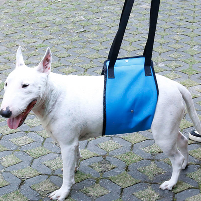 Adjustable Dog Harness Dog Training Carrier Soft Padded Leads Non Pull Lifts Harness Pet Carrier Support for Hind Legs Male Large Dogs