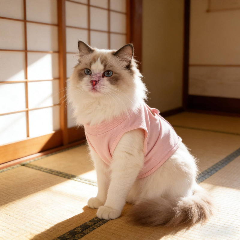 Toddmomy Breathable Anti-Leak Protection Cat Recovery Suit made of Cotton and Fitted Full Body Design for Summer for Female Cats After Surgery