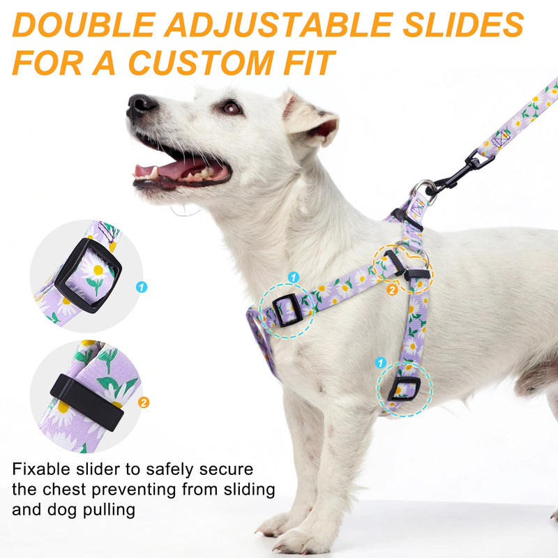 BEAUTYZOO No Pull Dog Harness and Leash Set - Adjustable Step-in Puppy Harness for Small Medium Large Dogs, Escape Proof Soft Nylon Vest with Double D Ring for Walking Running Training, Purple S S(Chest:15-21") Purple Flowers - PawsPlanet Australia