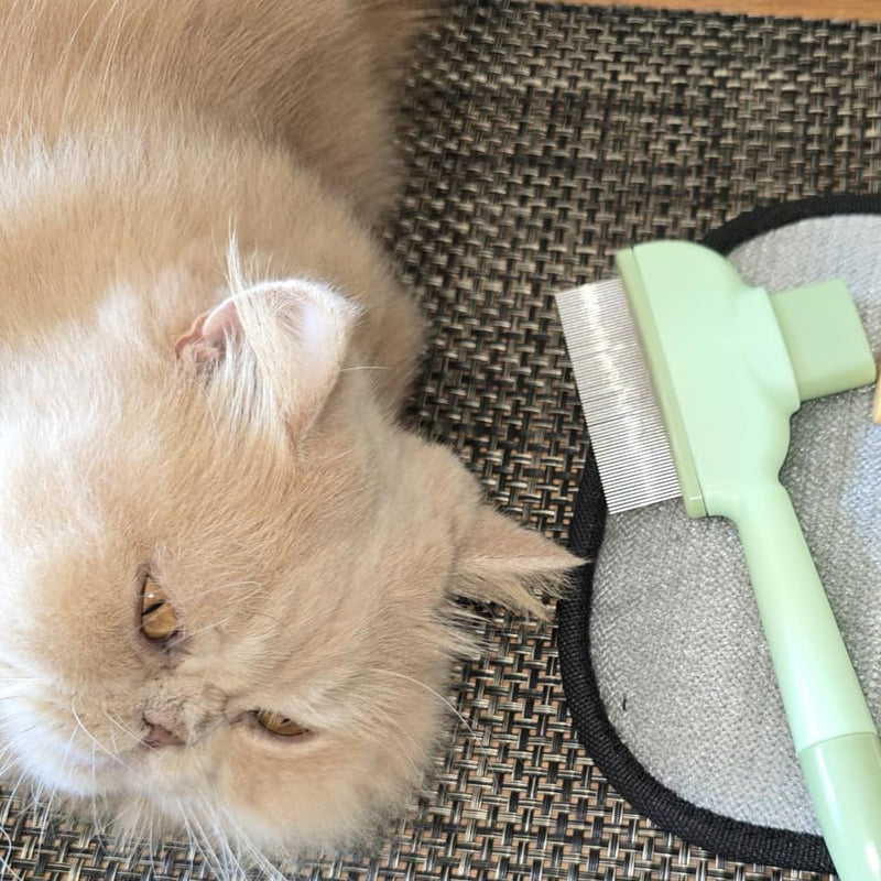 1PCS Cat Comb Dog Comb Tool, 1PCS Pet Hair Removal Gloves Brush, Reusable Pet Cat Dog Hair Removal Grooming Gloves Brush Tool (1PCS+1PCS) 1PCS+1PCS - PawsPlanet Australia