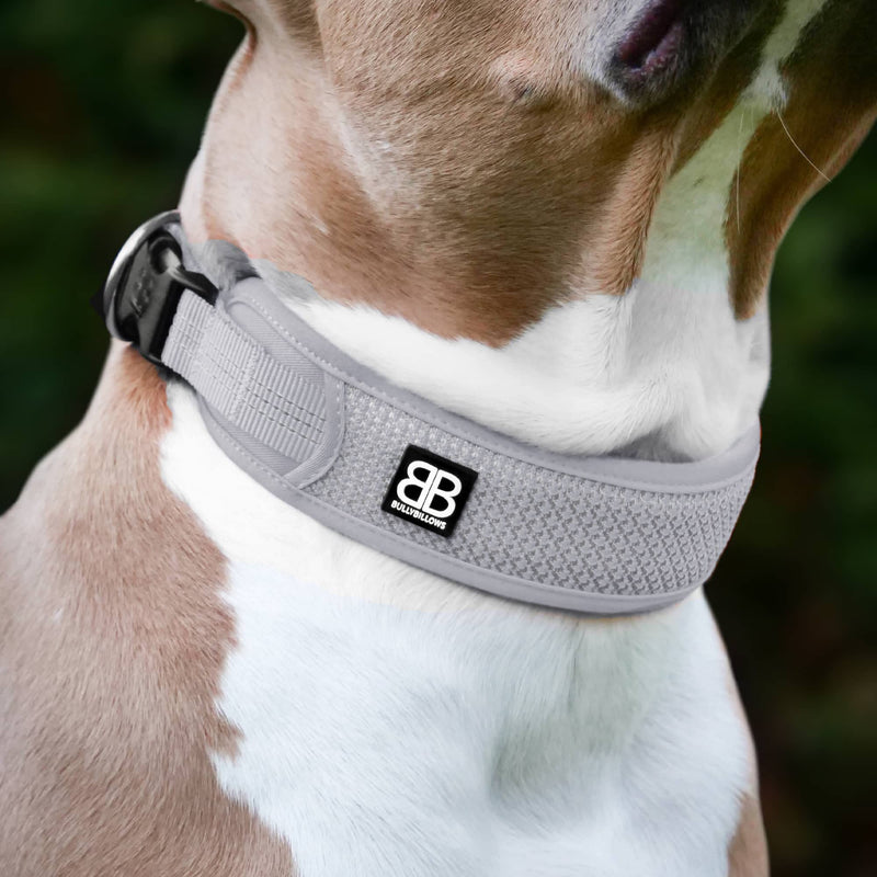 BullyBillows Active Light Cotton & Mesh Dog Collar, Lightweight and Adjustable, Comfortable for Dogs | Metal Grey | Medium M